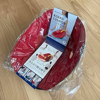 ⭐︎⭐︎最終値下げ⭐︎⭐︎ファイテン　ボードクッション 座るだけで自然と美しい姿勢に！ボードクッションが登場