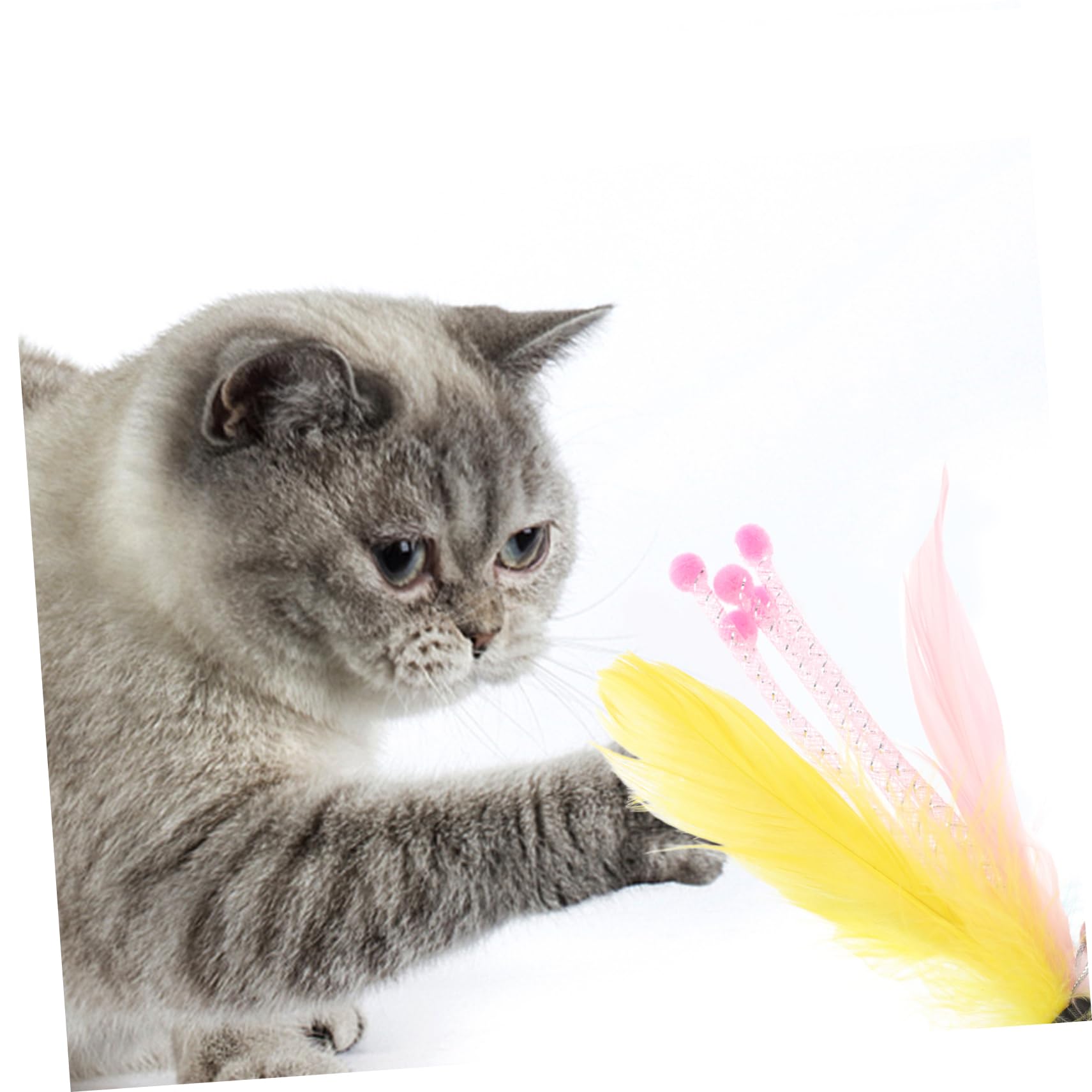 Hohopeti 40pièces Jouets à Plumes pour Chats Recharge De Interactive pour Chat Accessoires De Jeu pour Énergie Et Ennui des Félins