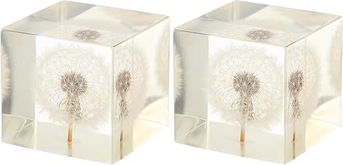 Miniatura 10 de ARTIBETTER Estatua de espécimen de hojaldre real de diente de león 3D en cubo de cristal de cristal, adorno de escritorio, decoración Fengshui para