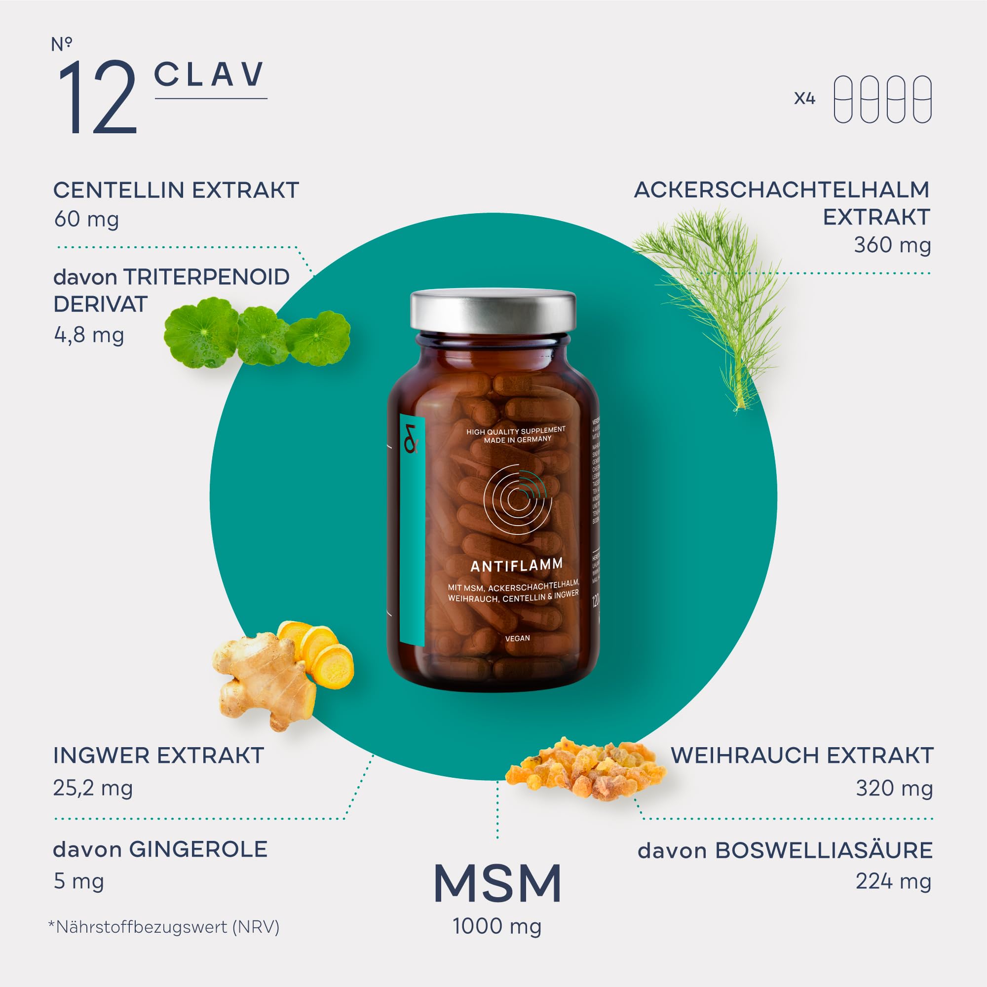 CLAV N°12 ANTIFLAMM - MSM Weihrauch Komplex - mit Ingwer Extrakt, Gotu Cola (Centella Asiatica) & Ackerschachtelhalm - 120 Kapseln
