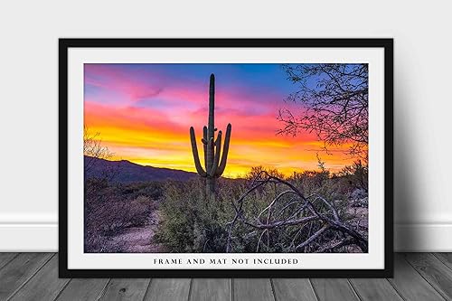 Miniatura 8 de Southwestern Photography Print (Not Framed) Picture of Saguaro Cactus at Sunrise in Sonoran Desert near Tucson Arizona Western Wall Art Nature Decor