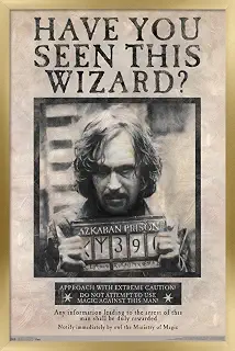 Trends International The Wizarding World: Harry Potter - Sirius Black Wanted Poster Wall Poster, 14.725" x 22.375", Gold Framed Version