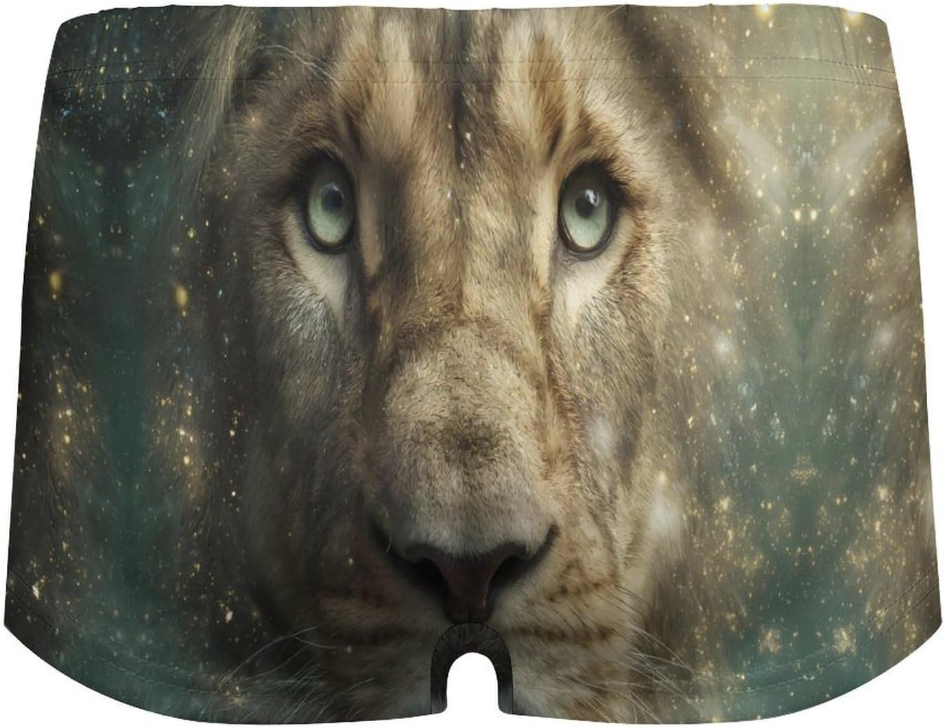 Fantasy Lion Fashion Women's Boxer Briefs Breathable Underpants Trunks Stretch Underwear