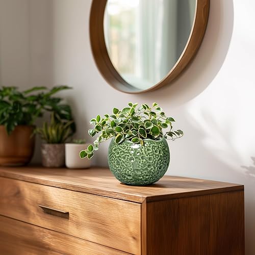 Miniatura 6 de Macetas de Cerámica Thirtypot - Maceta de 4 Pulgadas con Agujero de Drenaje, Macetas Pequeñas para Plantas de Interior y Exterior, Maceta Redonda