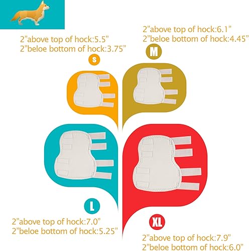 Miniatura 3 de Soporte trasero para pierna de perro, un par, cura la articulación de la articulación de la cadera para las piernas traseras (XLgris)