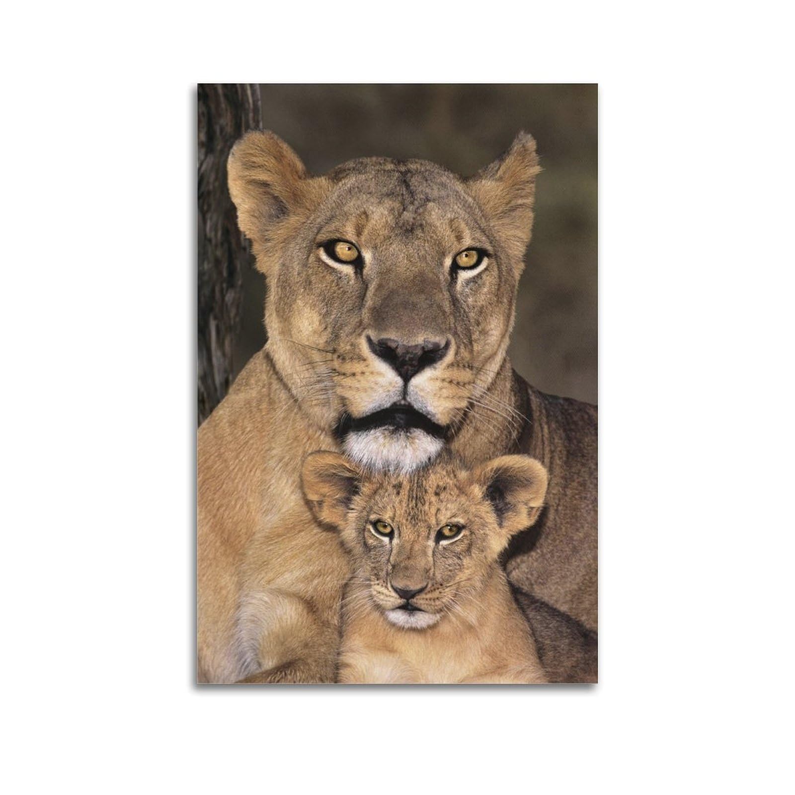 Xkuga Boys Unframe-Style African Lioness And Cubs Warm Vibes Poster Wildlife Vintage Modern Decorative Canvas Prints - Ideal Wall Art For Family, Man Cave, Game Room, & Girls Bedroom 20X30inch(50X75cm)
