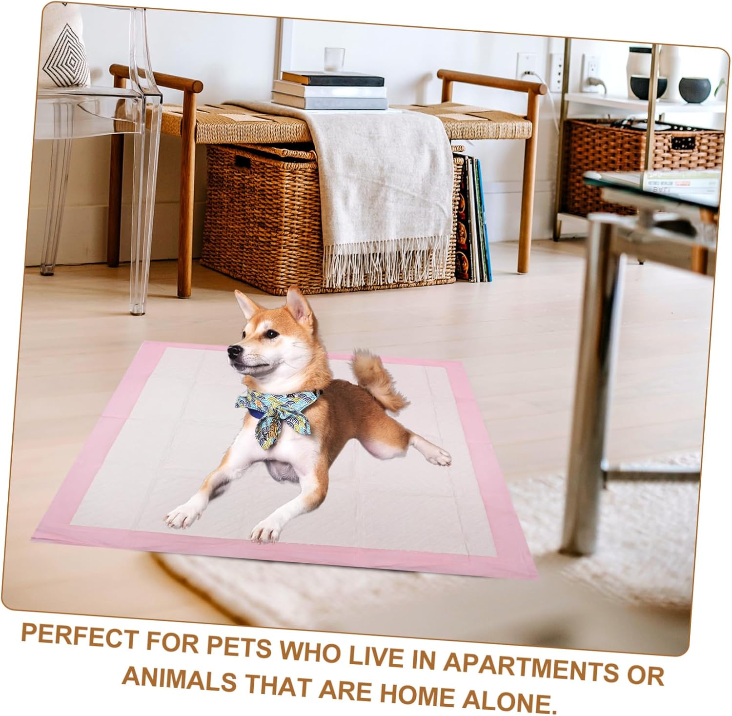 Extra Thick Absorbent Pet Diaper Pads for Puppy Training Dog Incontinence and Indoor Use Durable Non-Woven for High Absorbency