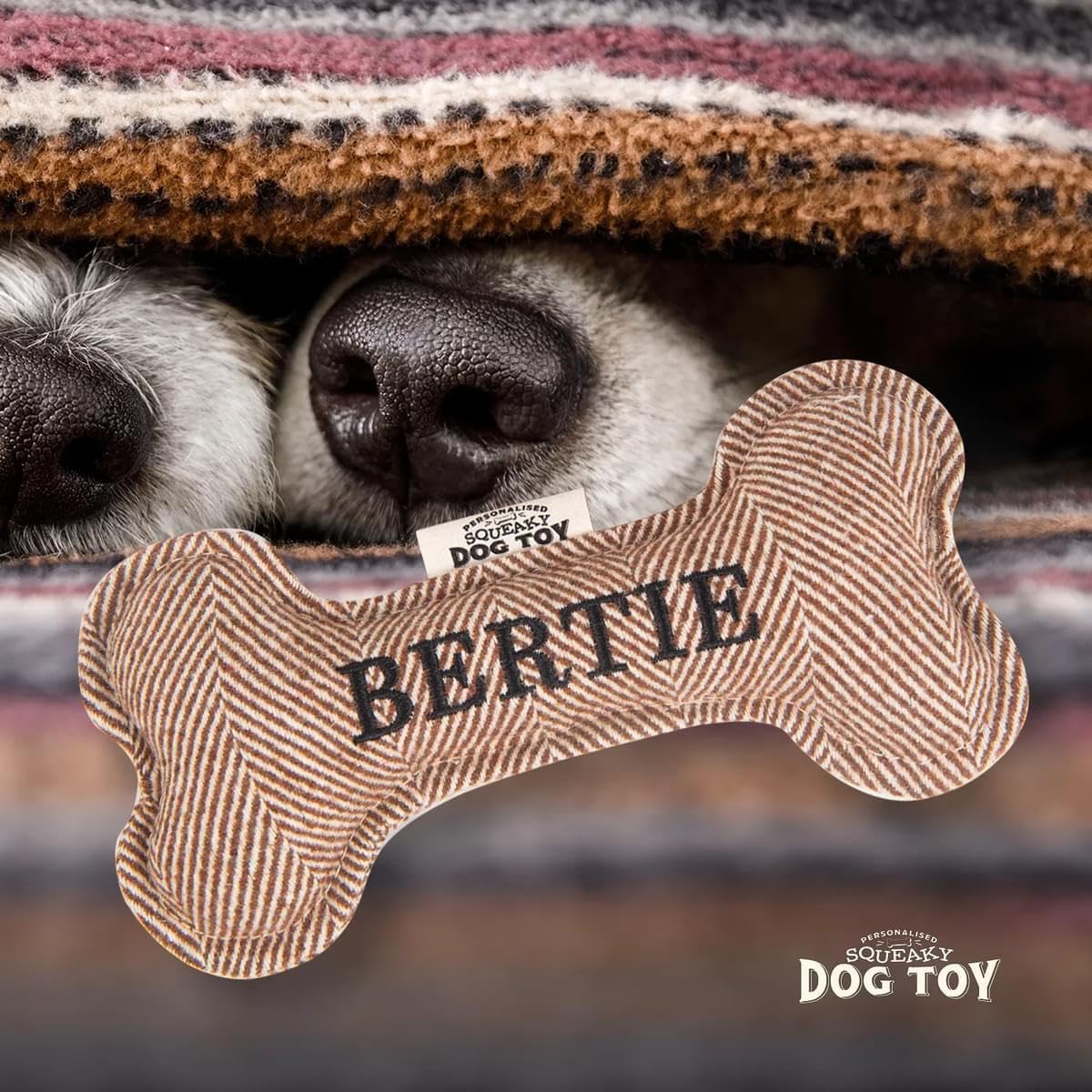 History & Heraldry Squeaky Bone Toy [Names A – J] Bertie