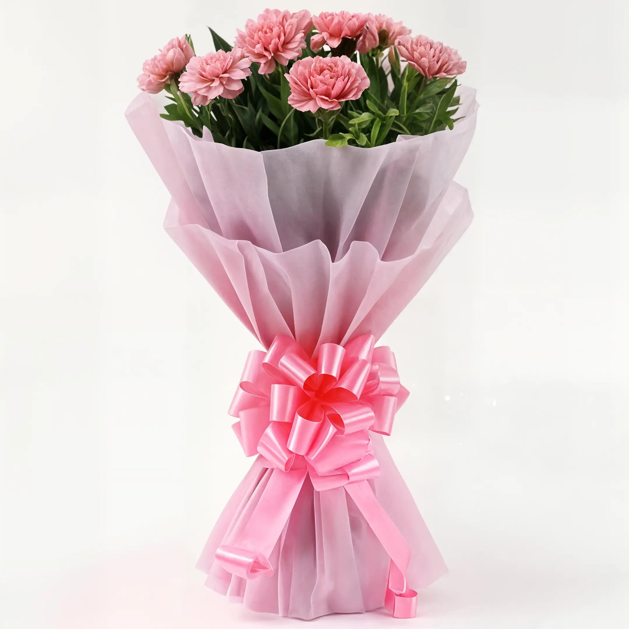 IFG's 8 Pink Carnations Bouquet in Pink Paper Wrap | Send Live Flower on Birthday, Anniversary, Father's Day, Mother's Day, Congratulations & Retirement | Natural Flower Delivery in 4 hrs-picture-16
