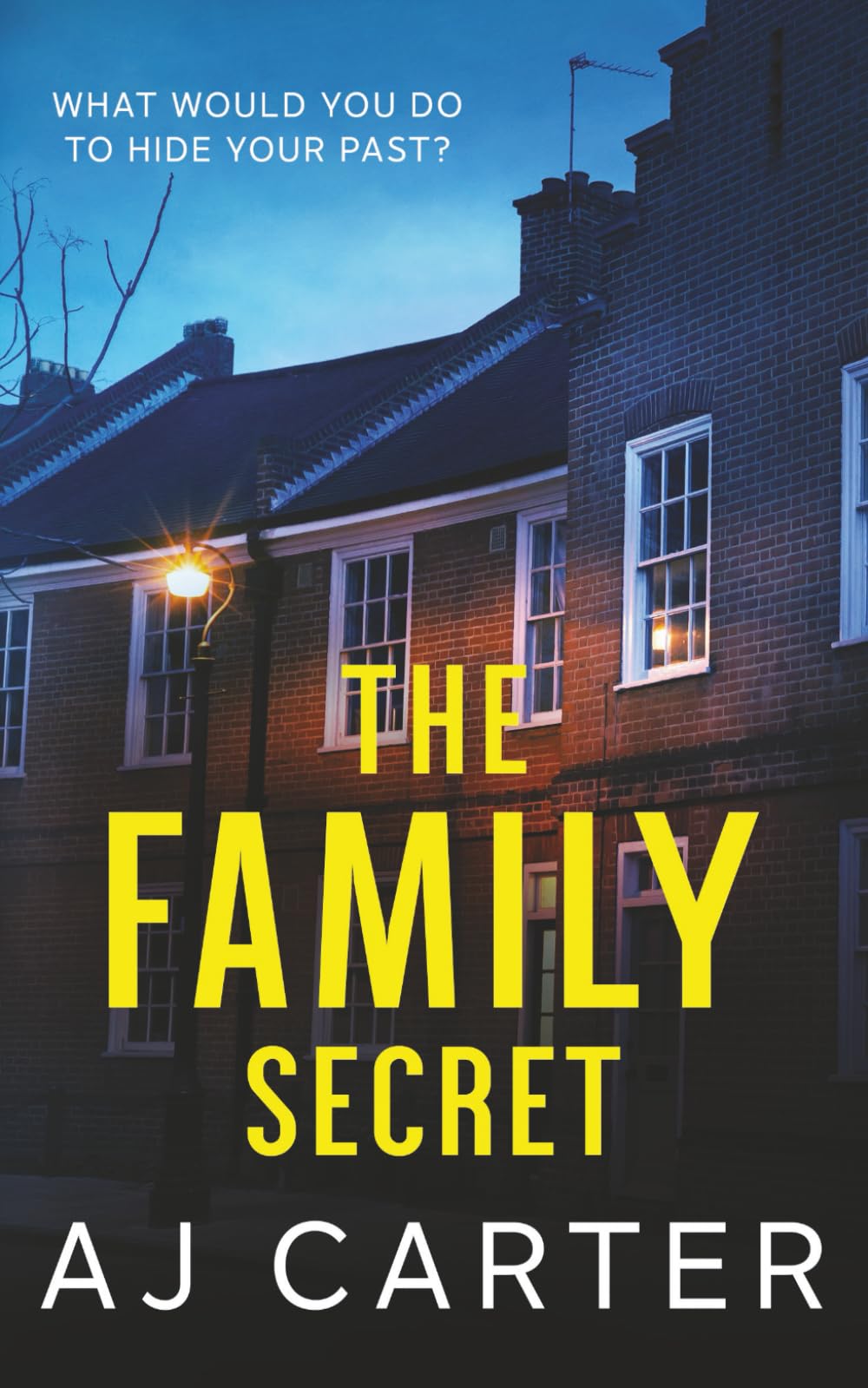 The Family Secret: A gripping psychological domestic thriller full of suspense and shocking twists (Standalone Psychological Thrillers)