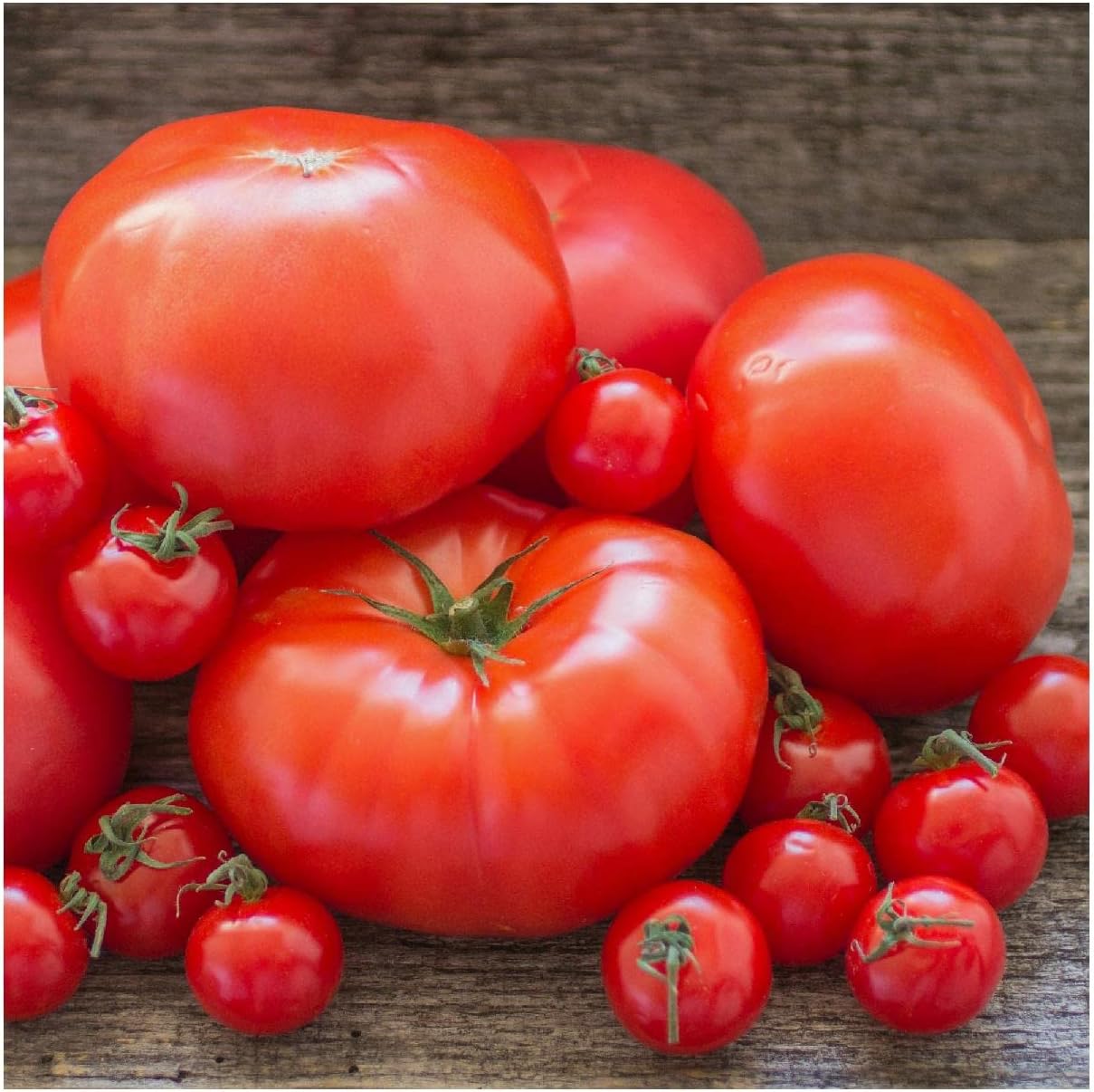 Everwilde Farms - 1 Oz Organic Beefsteak Production Tomato Seeds - Gold Vault Packet