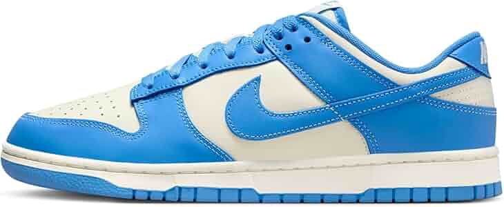 Amazon.com | Nike Dunk Low Retro Men's Shoes (DV0833-113