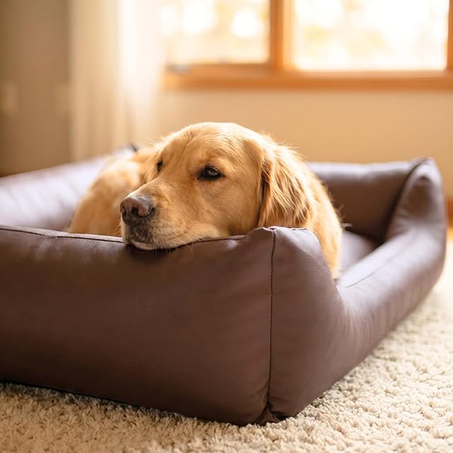 Foto 4 de 8 de 4L Textil Mario Cama Perro Ortopédica Polipiel Memory Foam Viscoelástica Impermeable Resistente Fácil…
