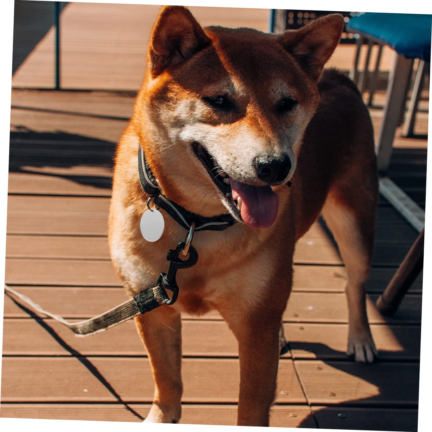 Toddmomy 30piezas Etiquetas De Identificación Para Mascotas Inoxidable De Placas Ovaladas Para Perros y Gatos Personalizables Nombre y Teléfono Previene Pérdidas