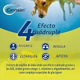 Ver la foto 7