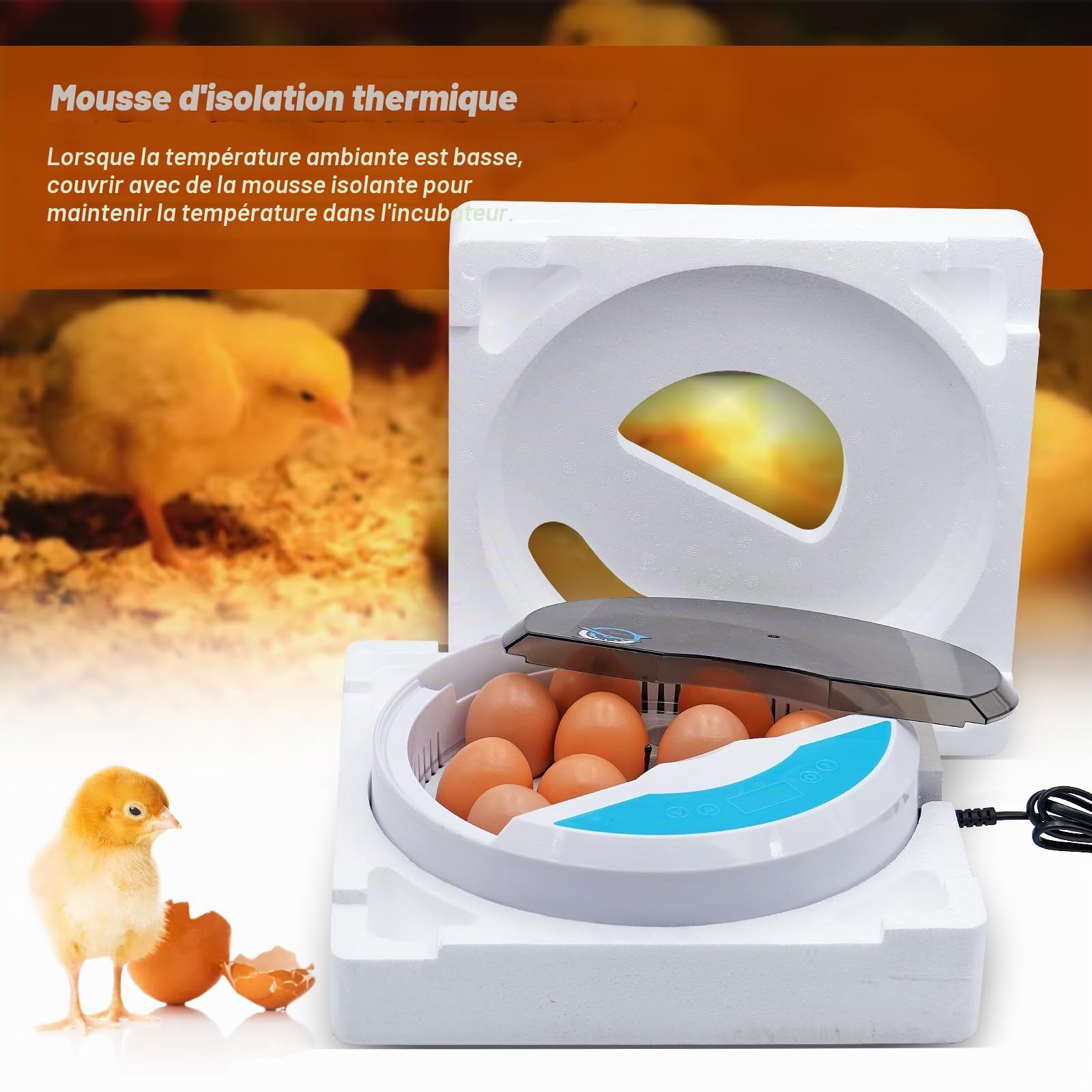 Mini 9 Oeufs Incubateur Couveuse Poussin avec Automatique De La TempéRature et Affichage NuméRique LED Incubateur Tortue pour Volaille Reptile Cadeau pour Enfants