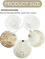 Vista 2 de stonechic 50 conchas de vieira para manualidades, grandes de 4 a 5 pulgadas, conchas naturales de playa blancas a granel para decoupage