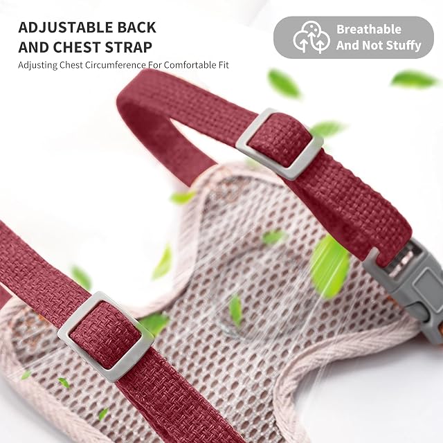 Foto 3 de 5 de PETCUTE Arnés para Gatos con Correa,Arnes Gato Antiescape,Ideal para Pasear al Gato al Aire Libre,Chaleco…