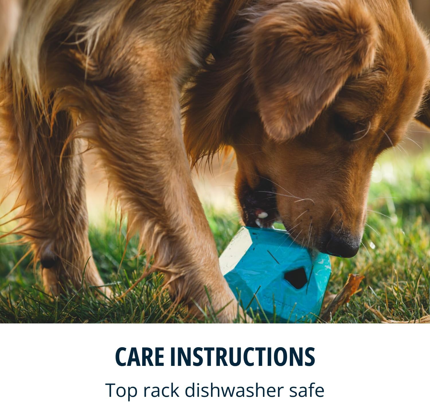 Ruffwear, Gnawt-a-Rock – Durable Interactive Dog Toy, Treat Dispensing, Made from Natural Latex Rubber, Perfect for Power Chewers, Glacial Blue