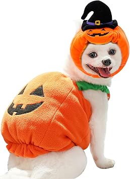 Halloween Pet Costume Pumpkin Hat and Vest for Cats and Large Dogs, Cute Festive Outfit for Halloween Parties