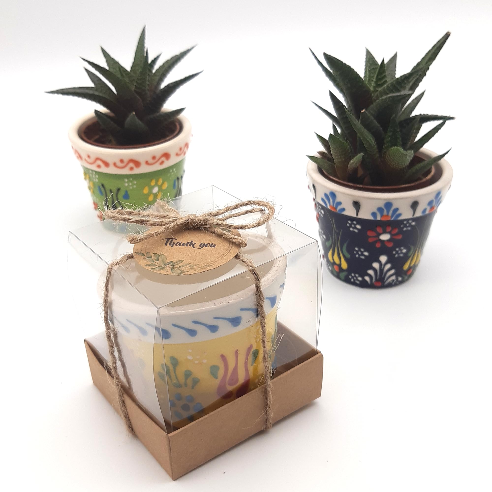 Bomboniere per addio al nubilato per ospiti, vaso in ceramica per piante grasse in scatola, bomboniere per gli ospiti, sfuso, regalo per feste in spiaggia, piante grasse vive non include