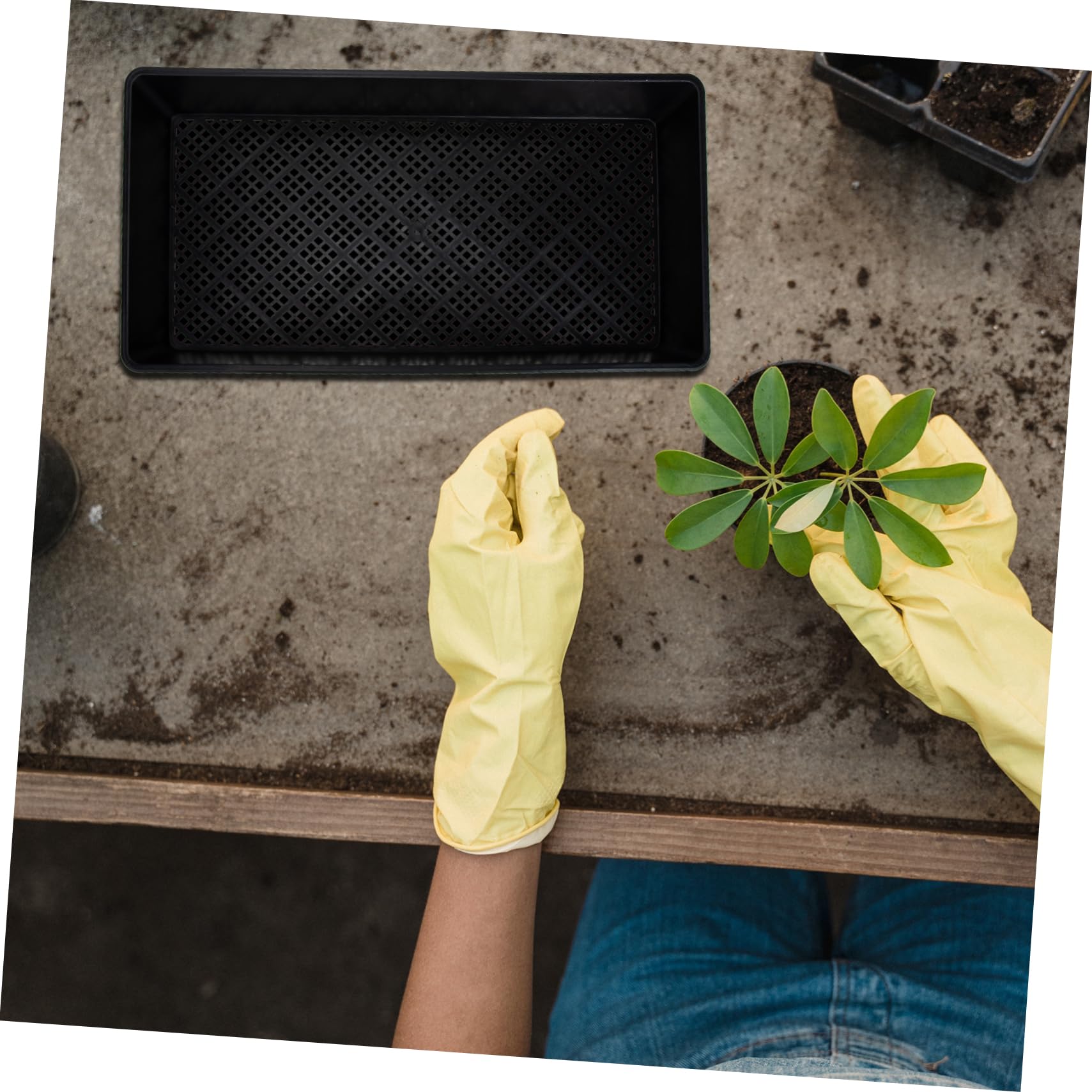 TOYANDONA 6pièces Lot de Plateaux de Semis Multi Germination des Germes Pratiques pour Jardinage et Culture