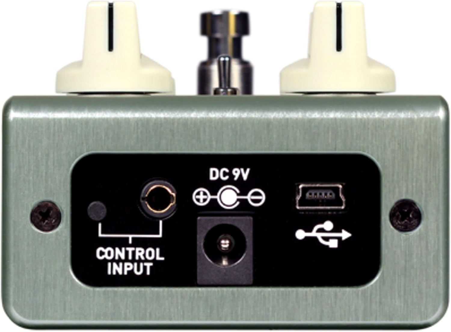 Source Audio True Spring Reverb Pedal