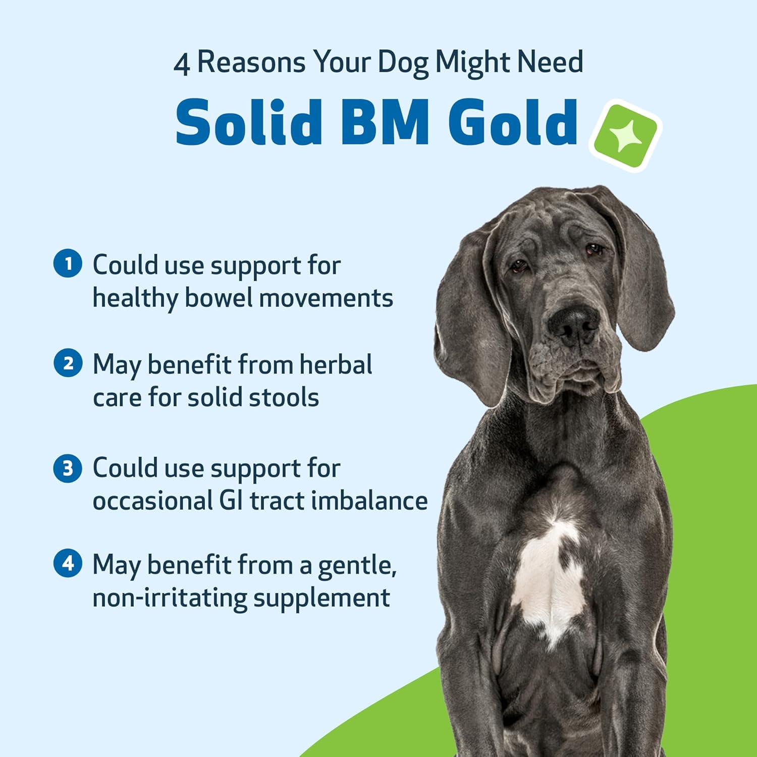 Pet Wellbeing Solid BM Gold for Dogs - Supports Healthy Digestive Function, Solid Stools, Normal Bowel Movements, Bayberry - Veterinarian-Formulated Herbal Supplement 4 oz (118 ml)