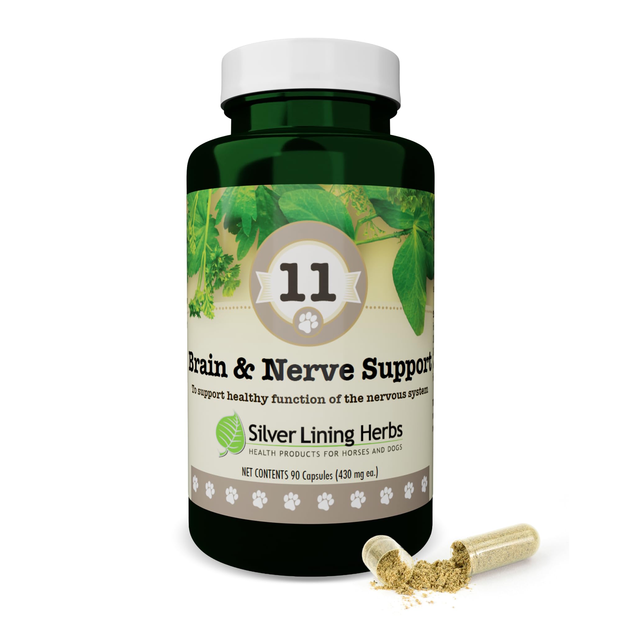 Silver Lining Herbs Brain Health & Dog Nerve Supplements - 11 Canine Herbal Supplement Helps Maintain Central Nervous System, Spinal Cord & Balanced Behavior - 90 Capsules