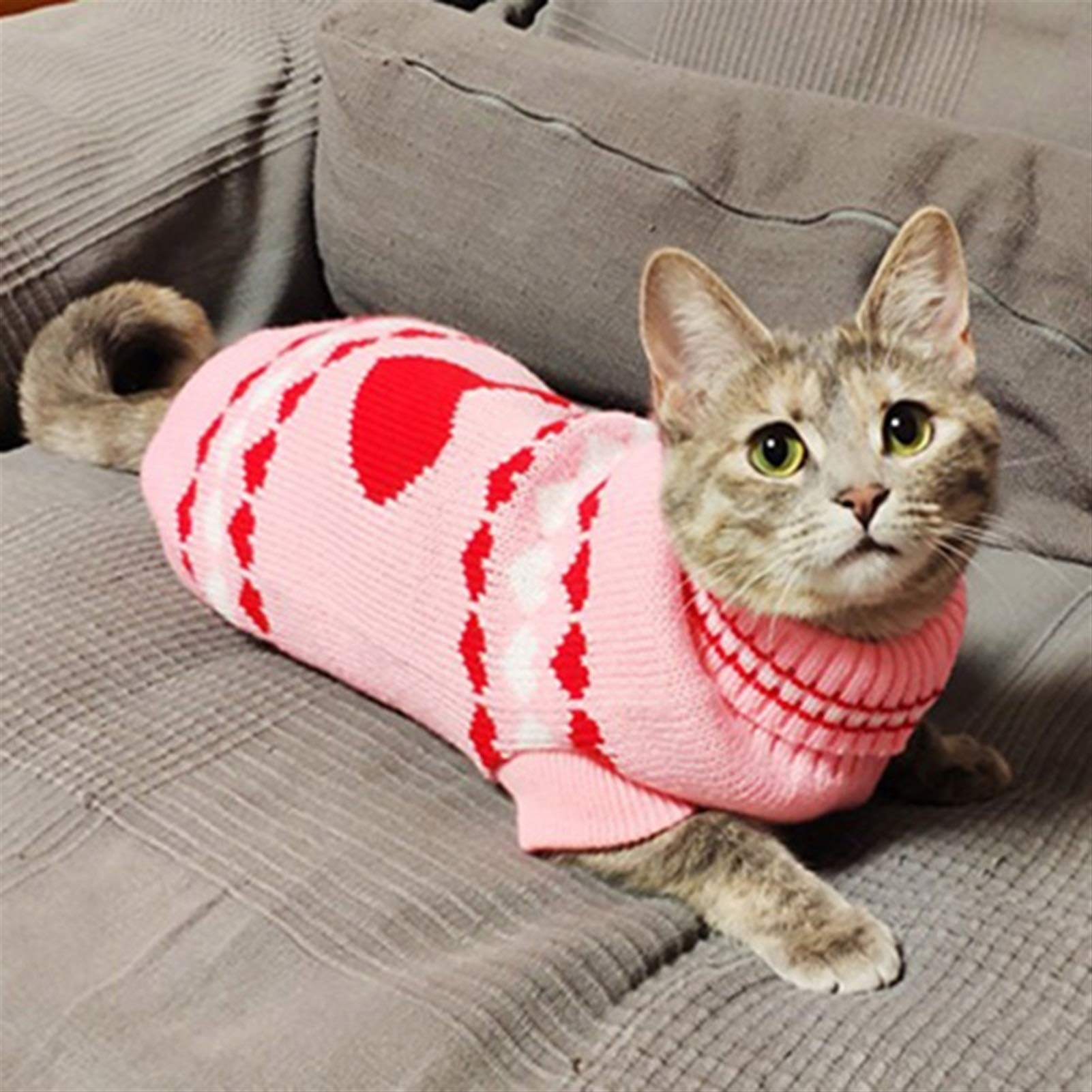 Hjyokuso Kattenkleding: Sphynx & Cornish Rex kattentruien en -truien - XS en kittenmaten, ademende pyjama, warme jassen