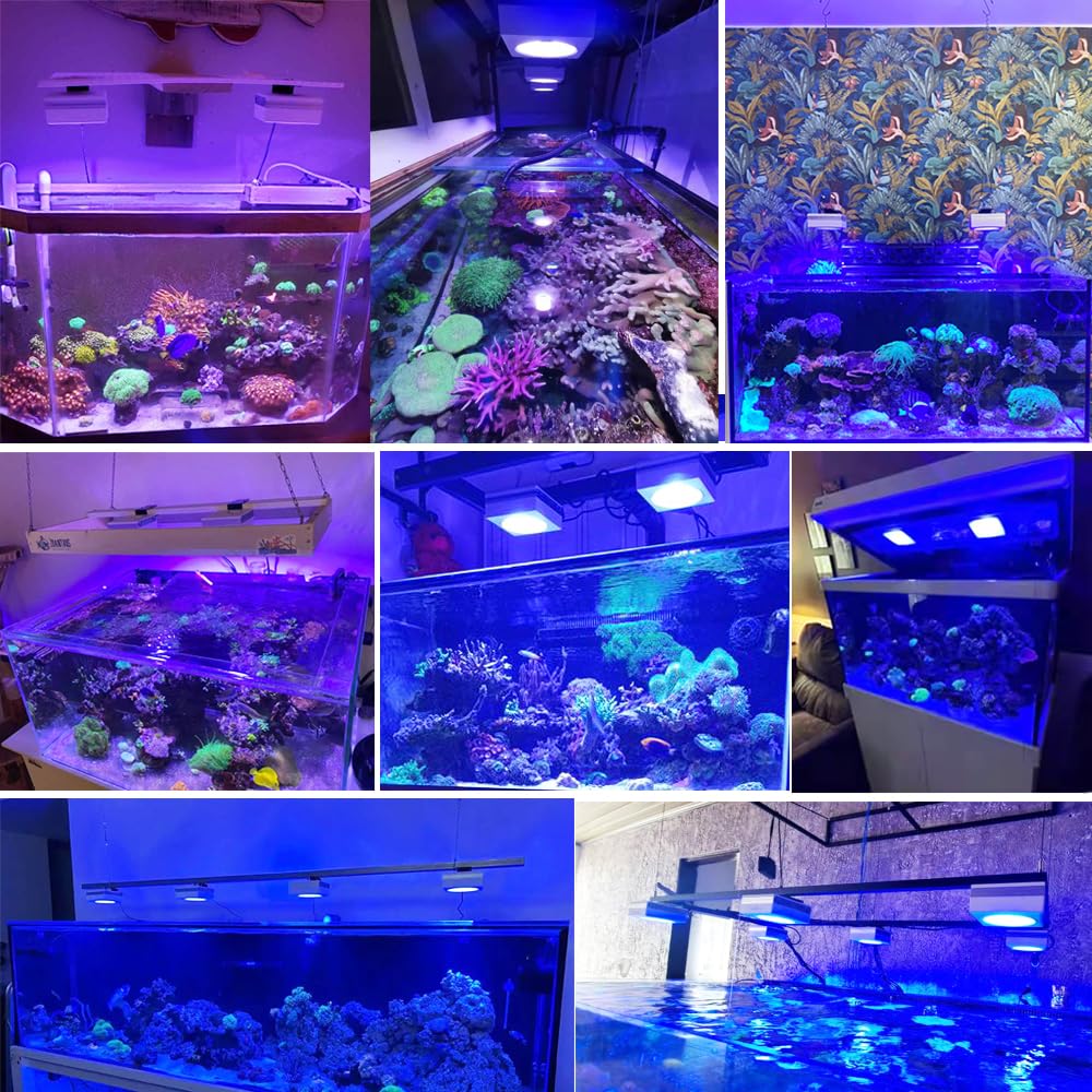 PopBloom RL90 WiFi Salzwasser Aquarium LED Beleuchtung, 100W Dimmbare Meerwasser LED Beleuchtung Aquarium Lampe mit APP-Steuerung für Meerwasseraquarien Korallenriff (mit Aufhängeset)