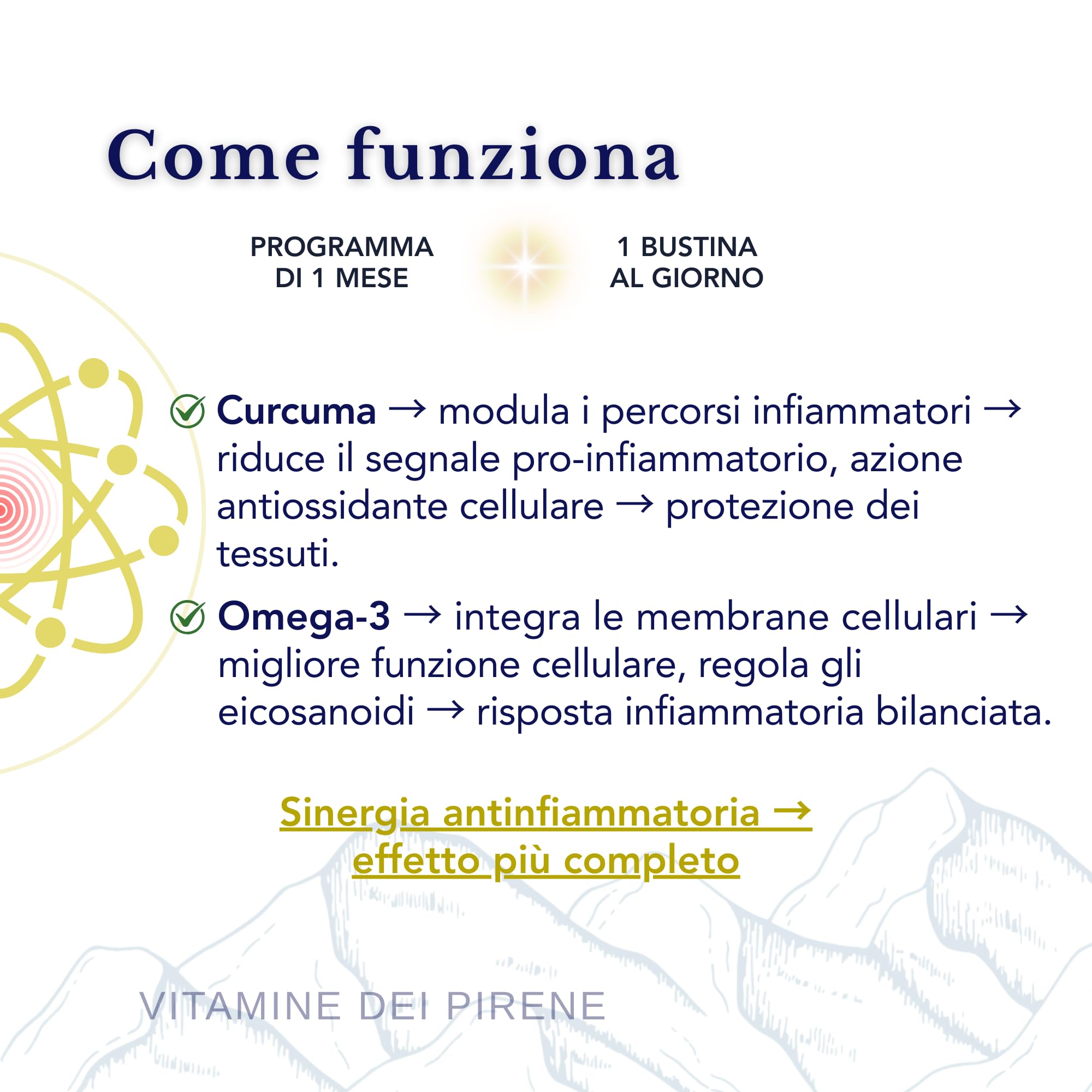 Omega 3 e Curcuma Alta Potenza – Gestione dell’Infiammazione, 2 Integratori in 1 Confezione per Salute Articolare e Cerebrale I 56 Dosi Giornaliere