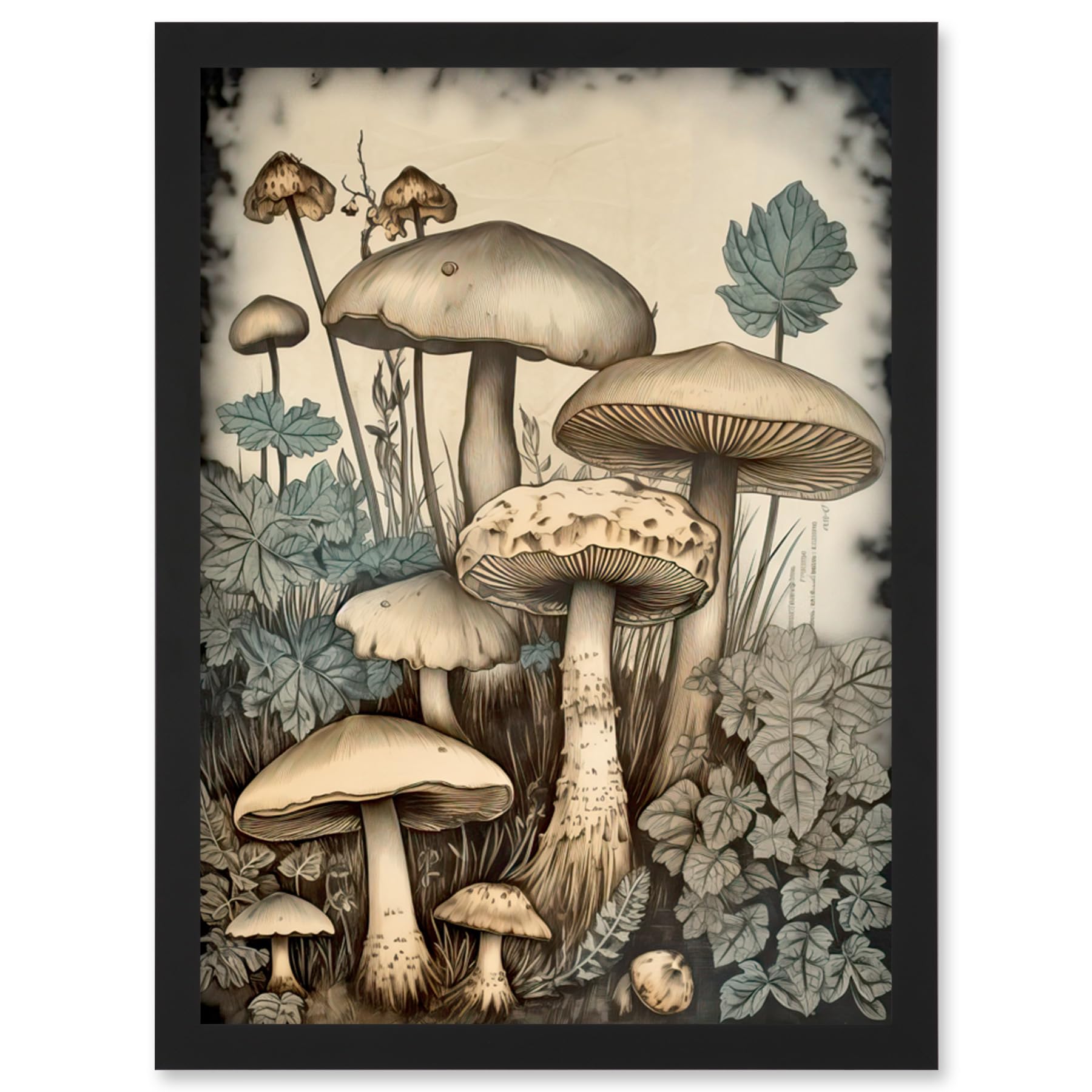 Artery8 Mushroom Fungi Watercolour Vintage Cottagecore Aesthetic Rustic Decor Artwork Framed Wall Art Print A4
