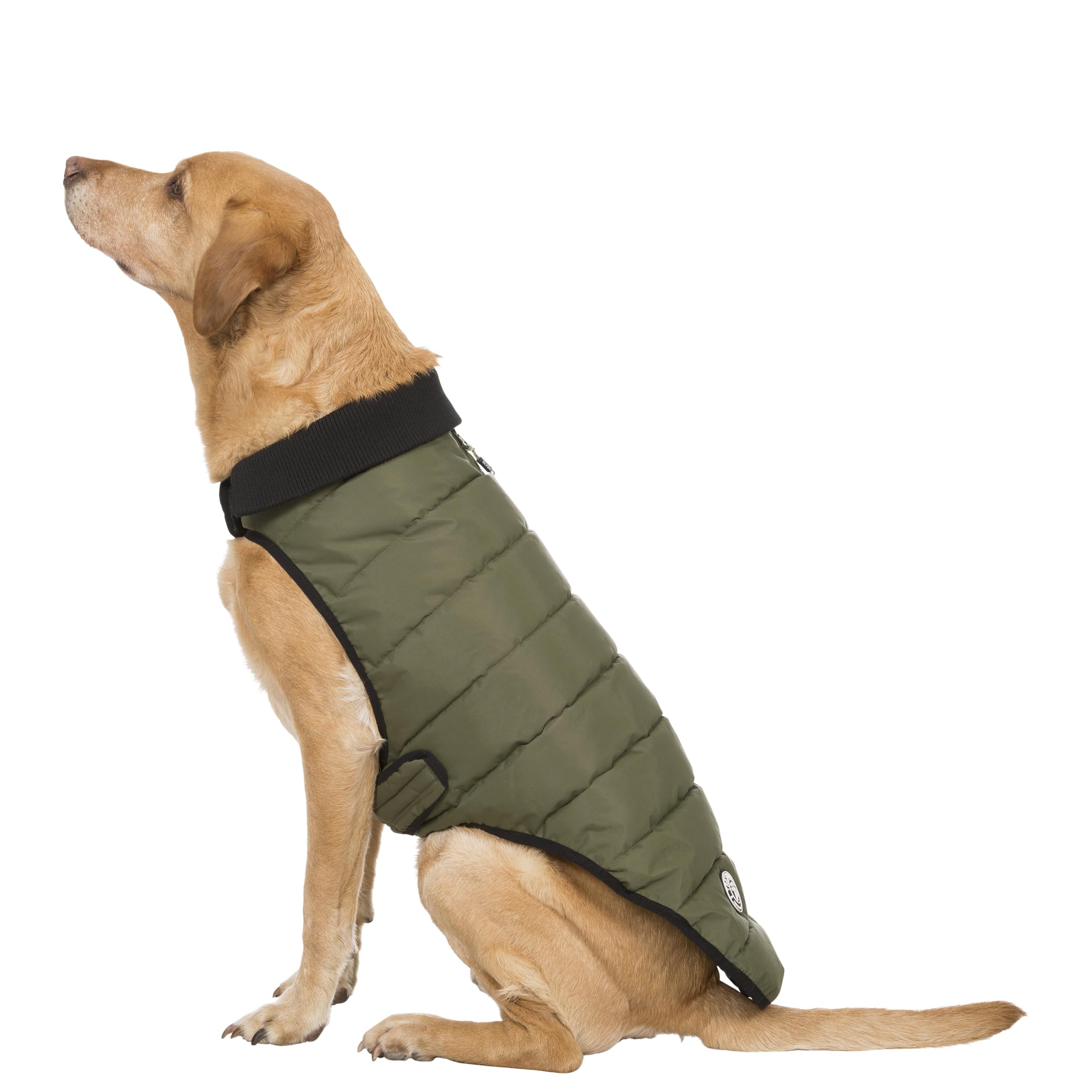 LLOYD - DOG PUFFER JKT TP75 - C: KHA T: XS, multicoloured - Image 3