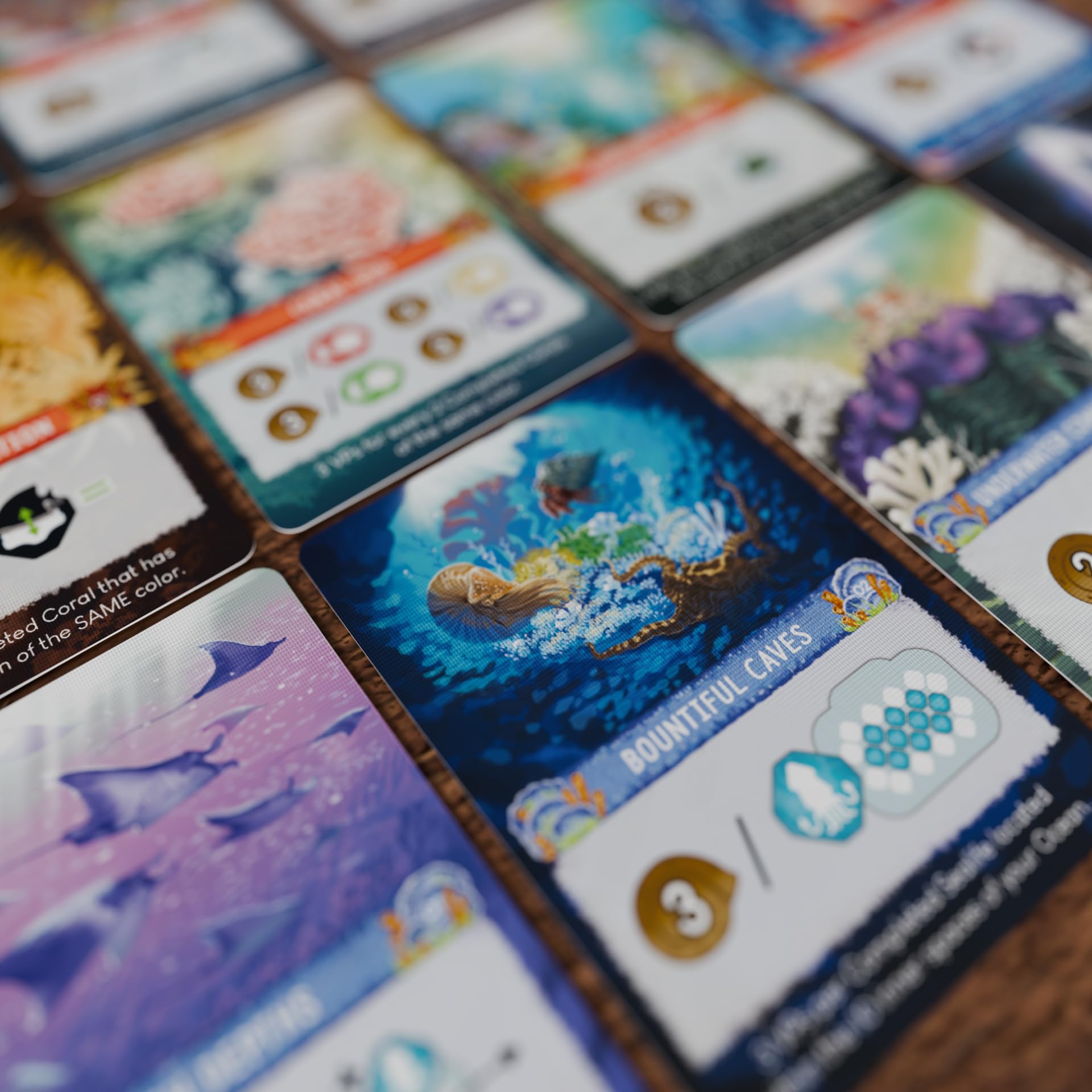 Juego de Mesa Shallow Sea – Juego de Estrategia de colocación de Azulejos para Mayores de 14 años | 1-4 Jugadores, 30-45 Minutos de Juego | Construye un ecosistema de Arrecife de Coral, Juego de