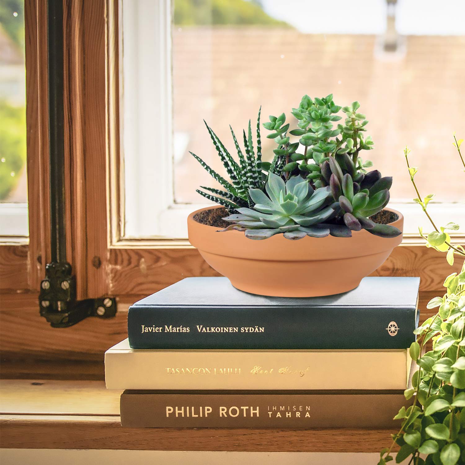 Terra Cotta Pots, Laergin 6.43 Inch Shallow Terra Cotta Clay Pots with