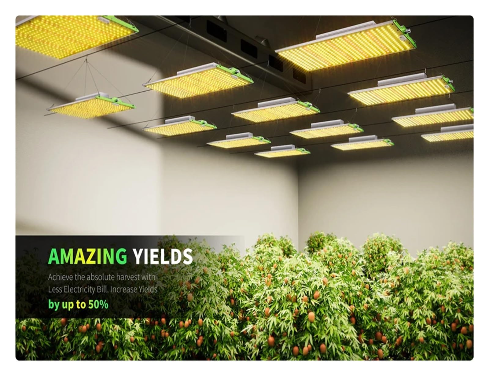 Lampe de Plante, Phytolampe 2000W à Spectre Complet, 3 pièces, lumière de Croissance LM281B, Panneau quantique for Plantes, graines, Fleurs, boîte de Culture hydronique, LED