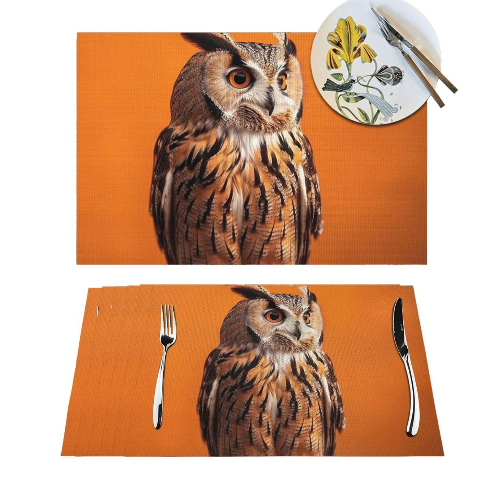 Set de table chouette orange lot de 4 pour salle à manger