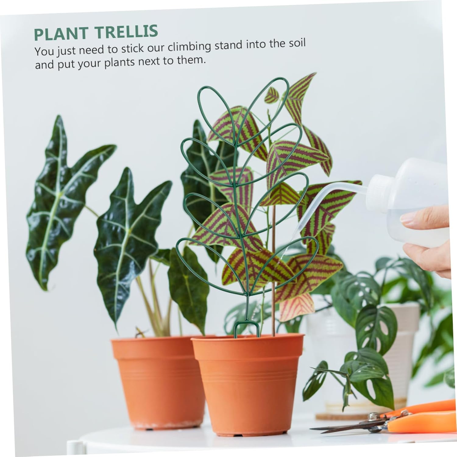 Balacoo 2pcs Iron Garden Trellis Indoor Plant Gardening Tool Trellis for Potted Plants Garden Trellis for Climbing Plants Outdoor Supporting Racks Small Plant Pot Trellis Fixed Rod Metal, Green