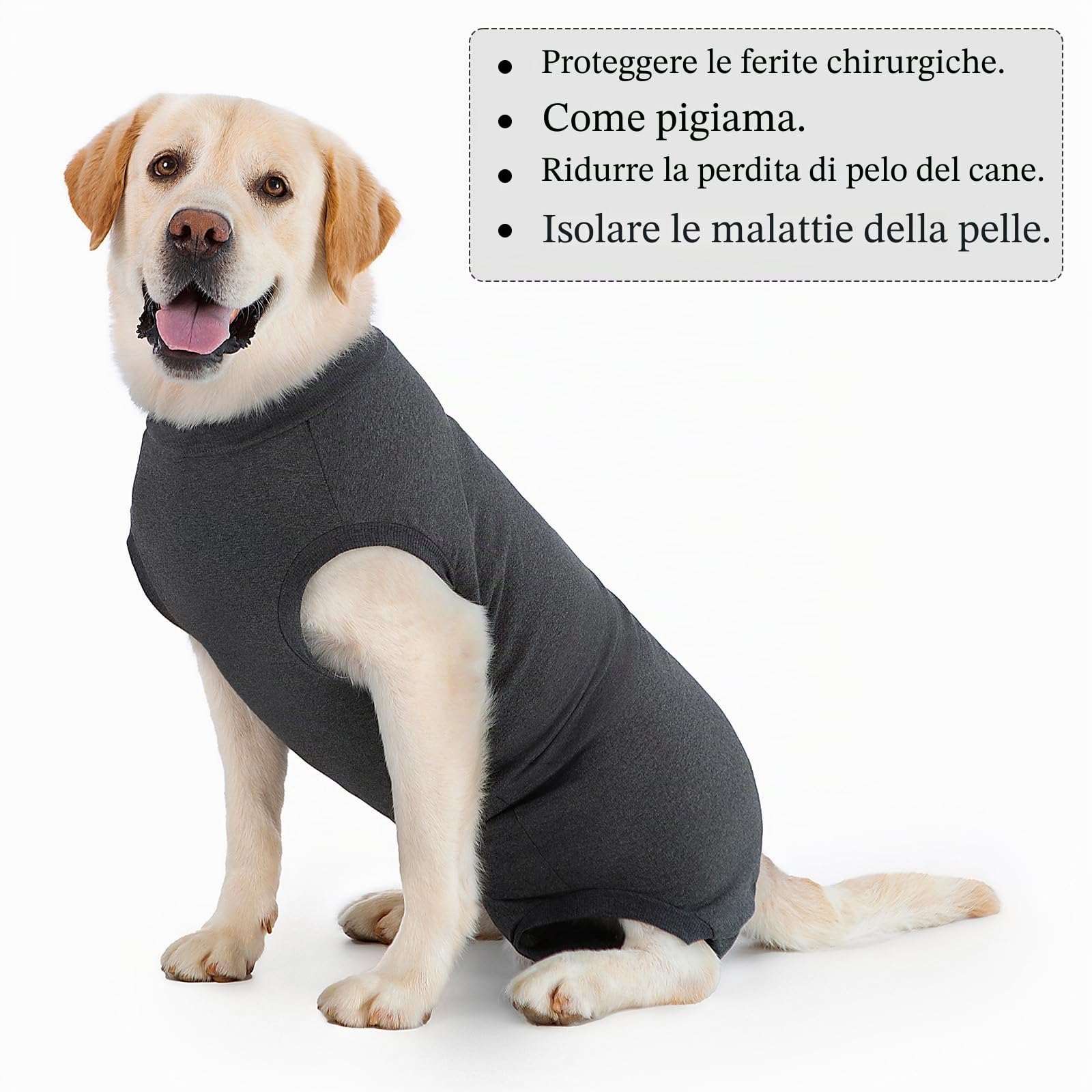 Tutina Post Operatoria Cane Body Post-operatori per Cani Vestito Chirurgico Femmina Tuta Recupero Pigiama Cane Tuta