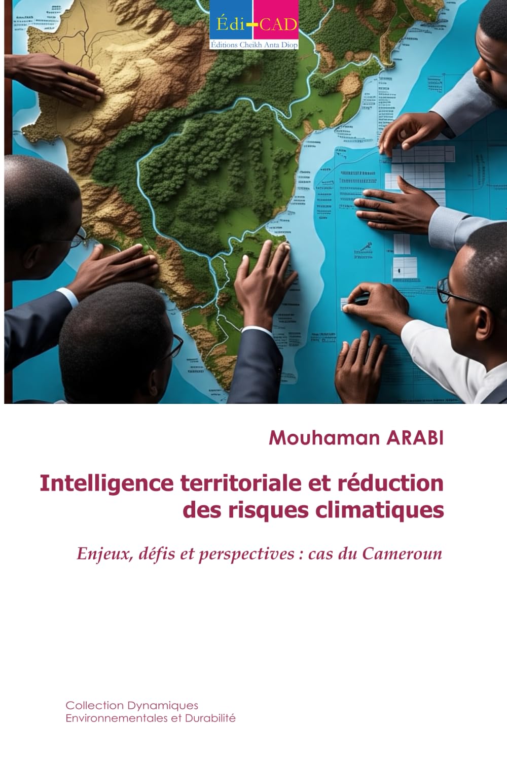 Intelligence territoriale et réduction des risques climatiques: Enjeux, défis et perspectives : cas du Cameroun