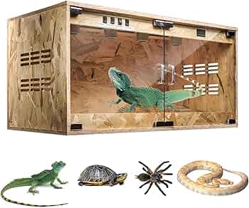 爬虫類用品① 71Uqk-SKLeL._AC_UF350,