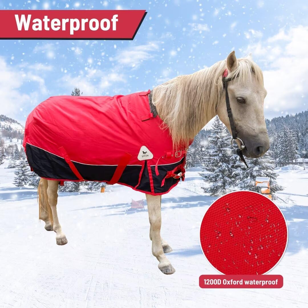 Manta de caballo pequeño, pony, potro, miniatura, 1600 denier, manta para el cuidado del caballo, manta impermeable y transpirable (relleno de 220 g)