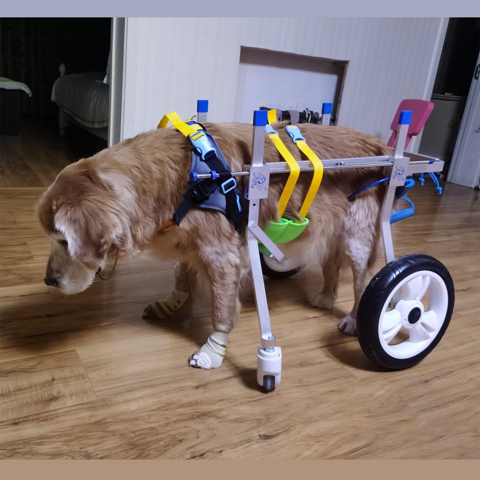 Carrito de ayuda para la movilidad de perros medianos en paseos al aire libre