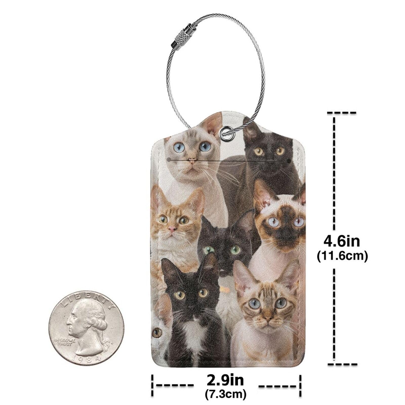 4 etiquetas de equipaje de piel sintética para maleta, divertido patrón de anales hipster, etiqueta de equipaje de gatito con bucle de acero inoxidable, etiqueta de identificación de cubierta de