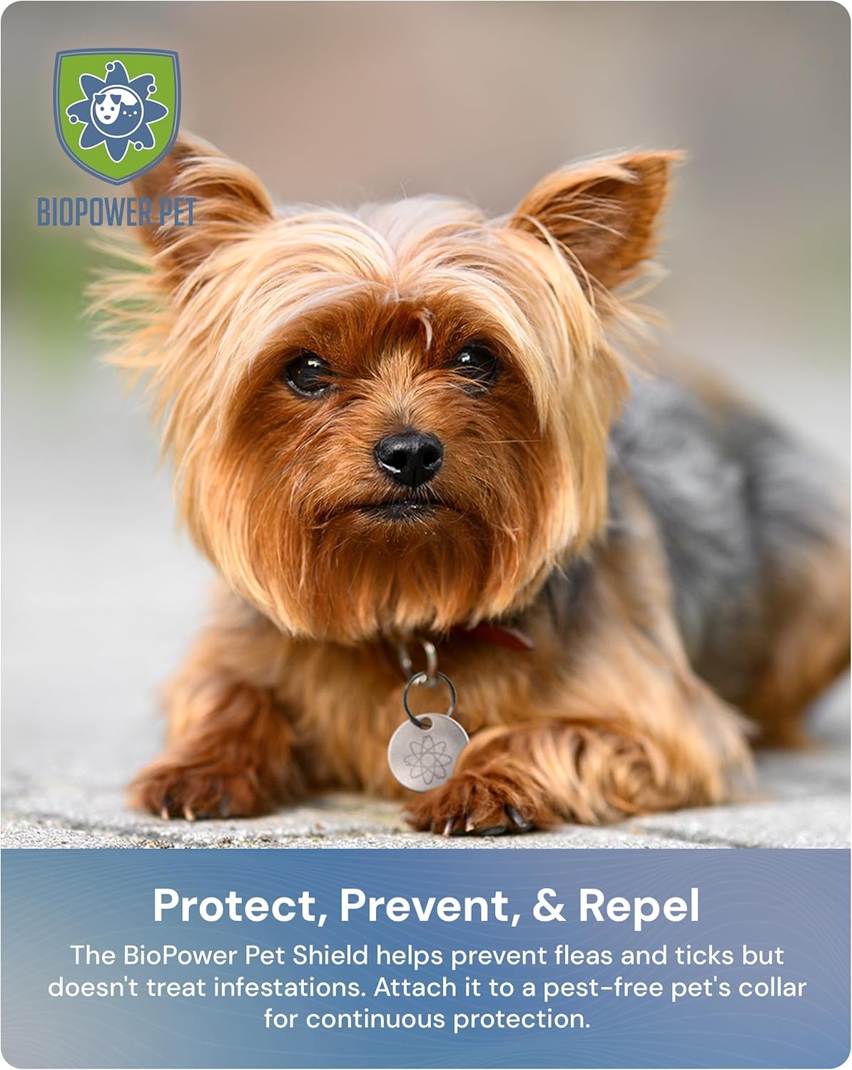 Natural Flea & Tick Repellent Collar Tag for Dogs & Cats – BioPower Pet Shield – Safe for Pets When Used as Directed – Lasts 1 Full Year - Regular Tag (2 Pack) - image 7