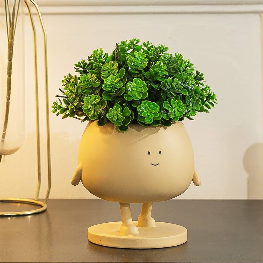 Amazon.co.jp: COTYNI フェイスプラントポット 多肉植物ポット 4.9