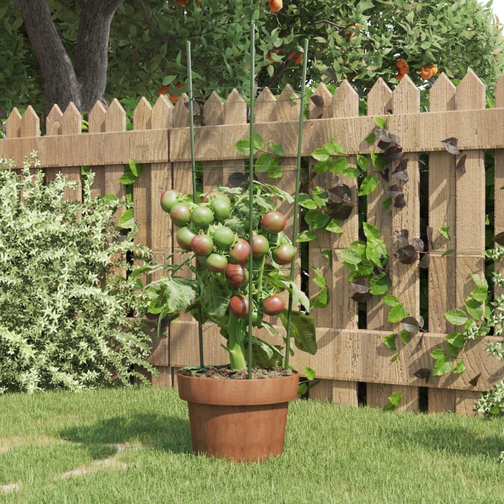 Soportes resistentes para plantas trepadoras, con 3 anillos para verduras, 5 unidades de acero para tomates y pepinos