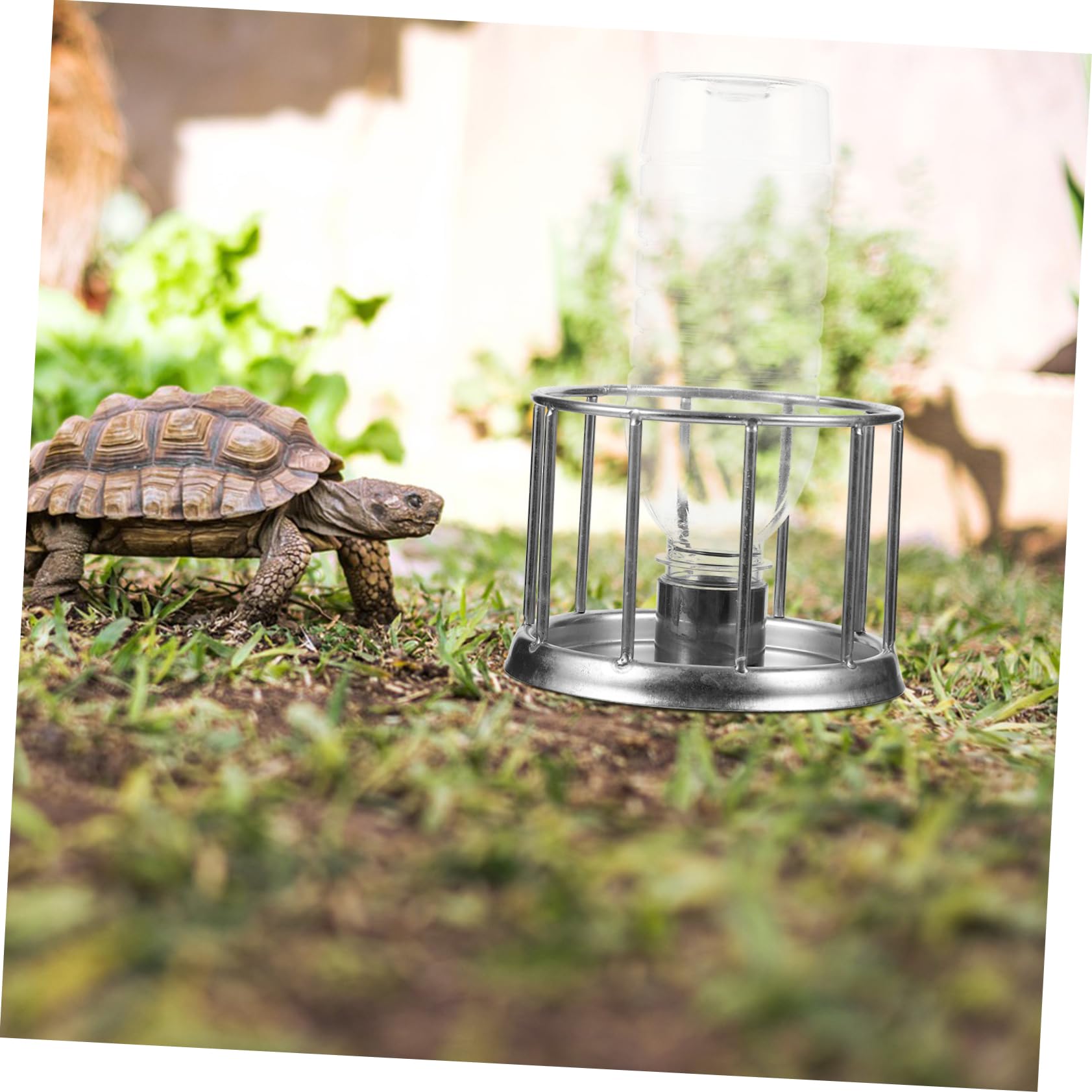 INOOMP 5piezas Alimentador De Agua para Mini Comedero De Acero Inoxidable para Reptiles Plato De Alimentación Duradero y Práctico para Terrarios y Acuarios