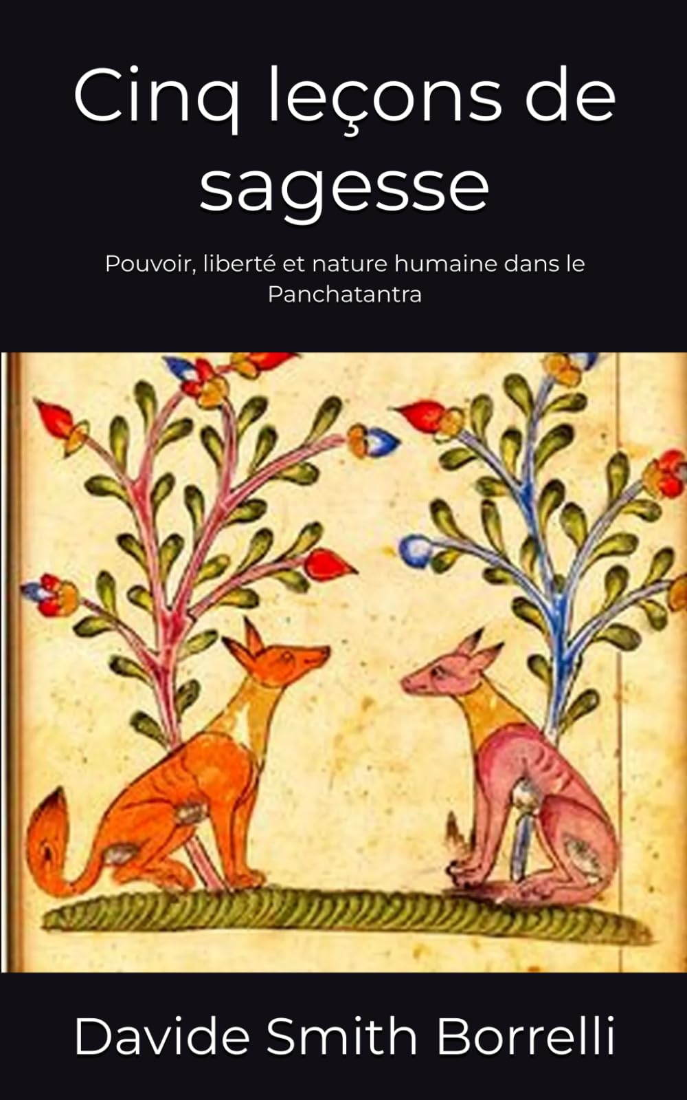 Cinq leçons de sagesse: Pouvoir, liberté et nature humaine dans le Panchatantra